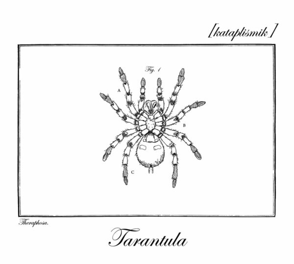 Tarantula