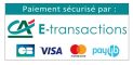 oodazwatt-ca-e-transactions-cb-visa-mastercard